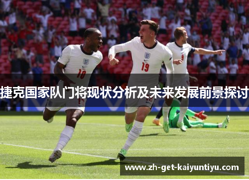 捷克国家队门将现状分析及未来发展前景探讨