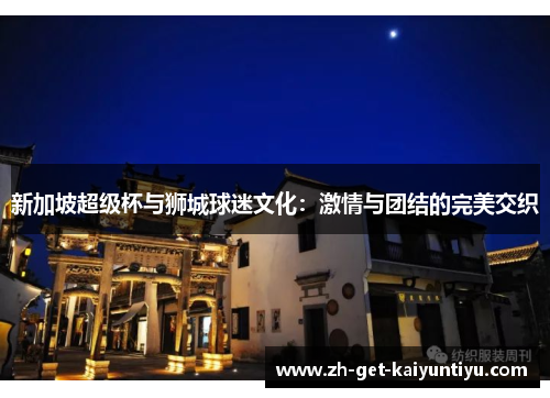 新加坡超级杯与狮城球迷文化:激情与团结的完美交织 新加坡超级杯与狮城球迷文化:激情与团结的完美交织