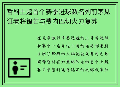哲科土超首个赛季进球数名列前茅见证老将锋芒与费内巴切火力复苏